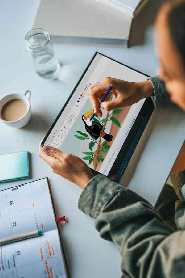 photo-1624571409412-1f253e1ecc89