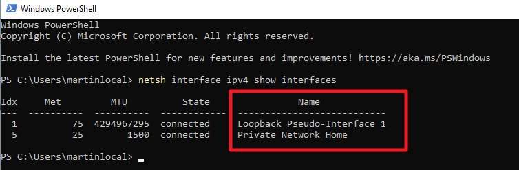 powershell-network-names