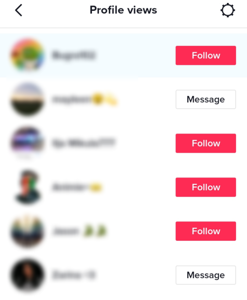 profile-views-list-tiktok-1-1