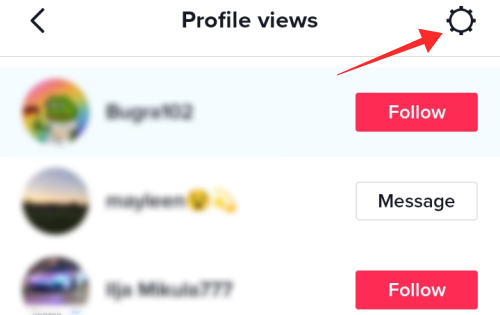 profile-views-list-tiktok-2