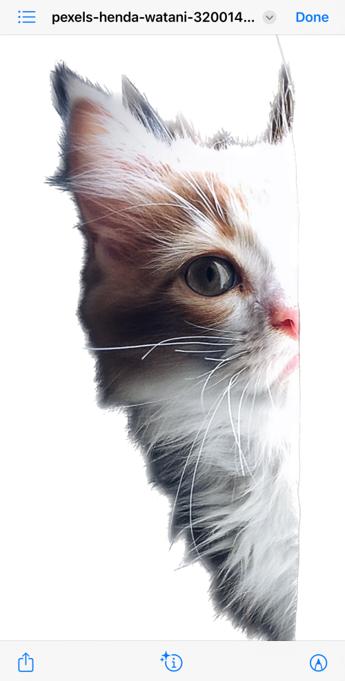 如何在 iPhone 或 iPad 上使用iOS 16文件应用程序删除背景