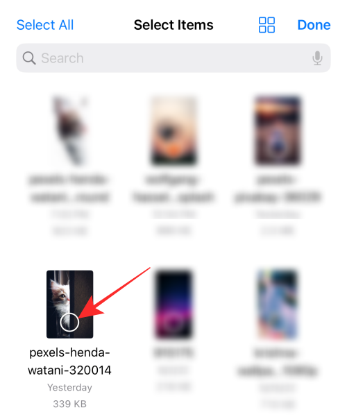 如何在 iPhone 或 iPad 上使用iOS 16文件应用程序删除背景
