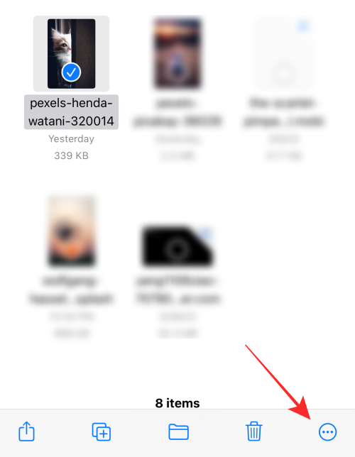 如何在 iPhone 或 iPad 上使用iOS 16文件应用程序删除背景