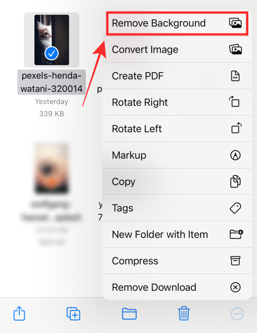 如何在 iPhone 或 iPad 上使用iOS 16文件应用程序删除背景