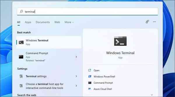 terminal-search terminal-search