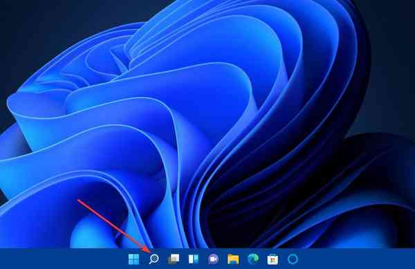 the-magnifying-glass