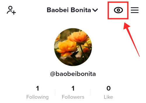 tiktok-profile-views-1-2