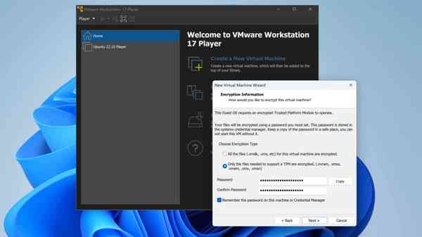 vmware-workstation-player-17-3 vmware-workstation-player-17-3