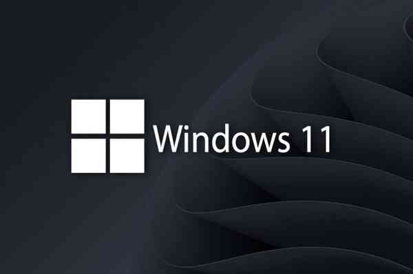 w11-bugs