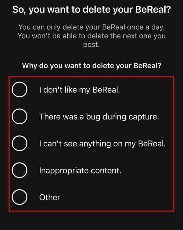 what-happens-when-you-delete-bereal4