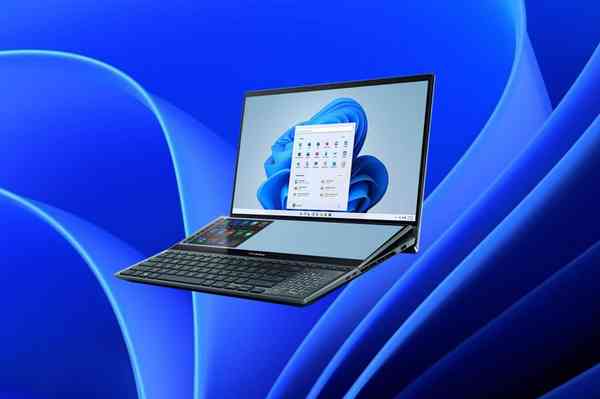 windows-11-bug