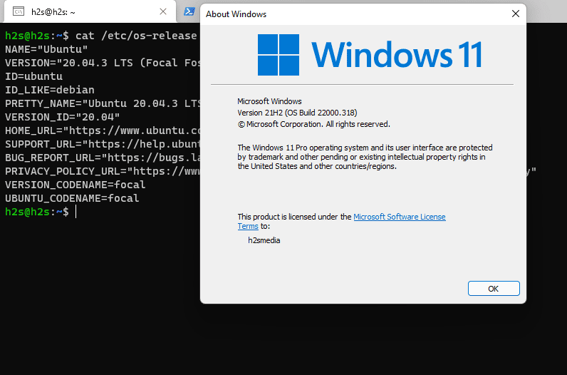 wsl2-install-ubuntu-20.04