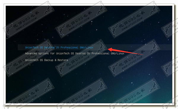进入操作系统桌面20 1