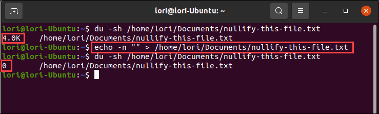 06-echo-command-with-null-output