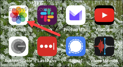 1-photos-home-screen 1-photos-home-screen