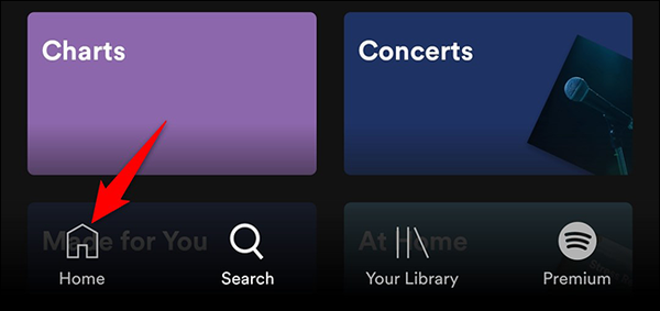 1-spotify-mobile-home