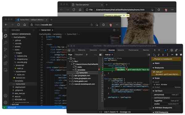 1634747152_the-cat-said-no-vscode-dev_story