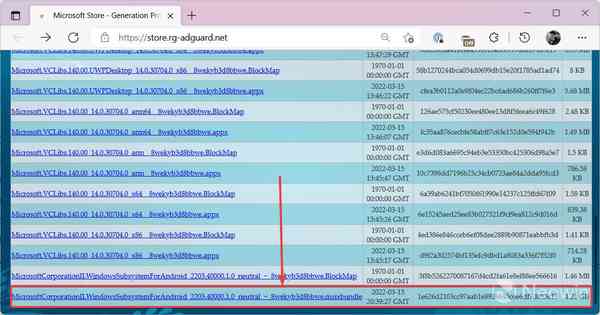 1647351850_install_google_play_on_windows_11_3
