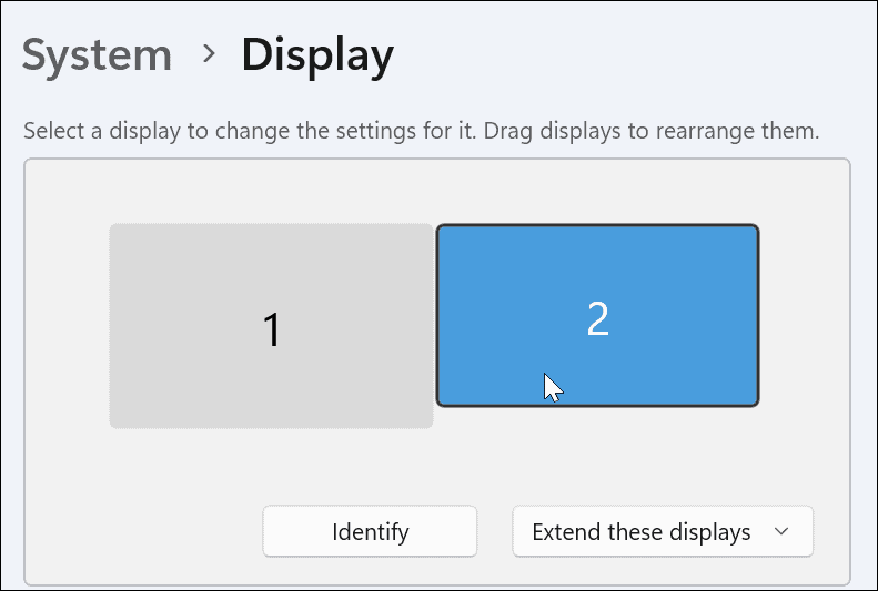 2-choose-monitor
