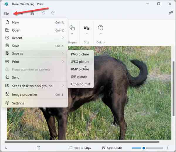 2-save-image-as-JPEG