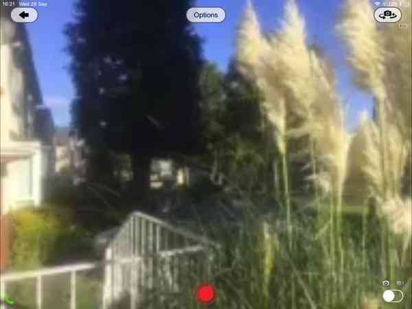 27817-42153-002-view-from-camera-xl