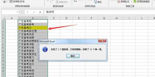 Office 2021 Excel如何筛选出相同的数据
