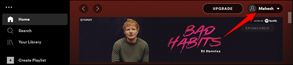 4-spotify-desktop-name