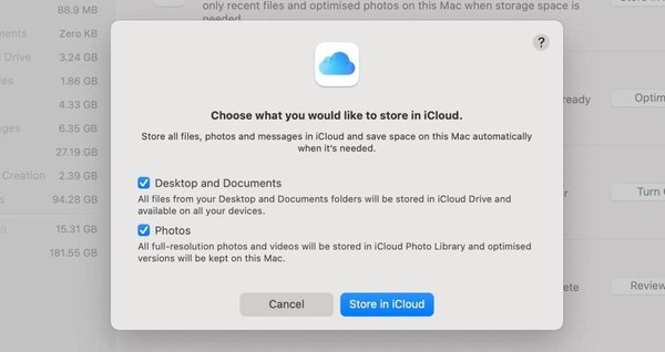 42610-82731-store-in-icloud-xl