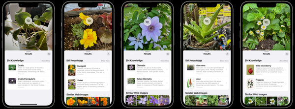 48633-94982-Look-Up-Examples-xl