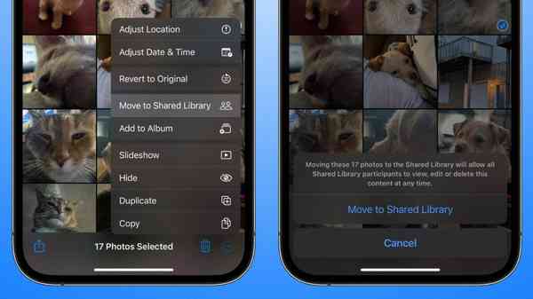 50155-98534-Move-libraries-xl