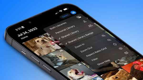 50155-98535-Library-switch-xl