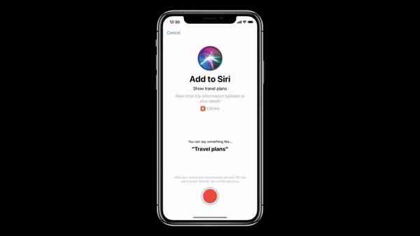 50558-99526-IMG_1940-xl