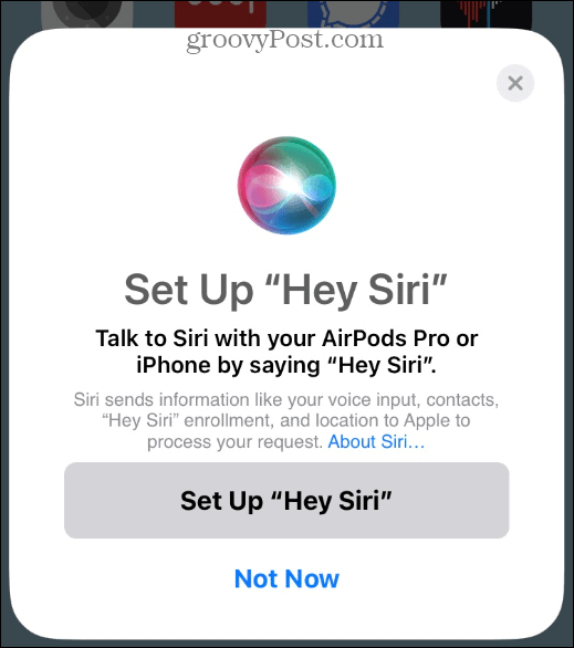 6-Siri-options 6-Siri-options