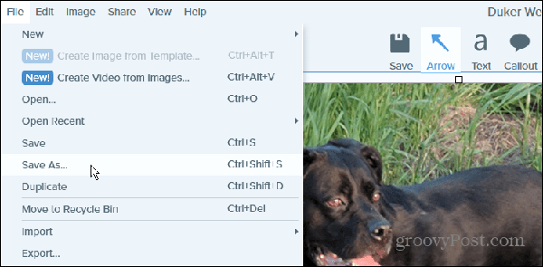 7-save-as-snagit-convert-a-png-to-jpg-on-windows-11