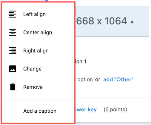 AdjustImage-GoogleFormsImageQuestions