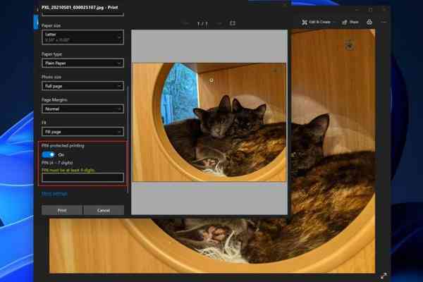 AlanMeeus_1-1624999745673-1