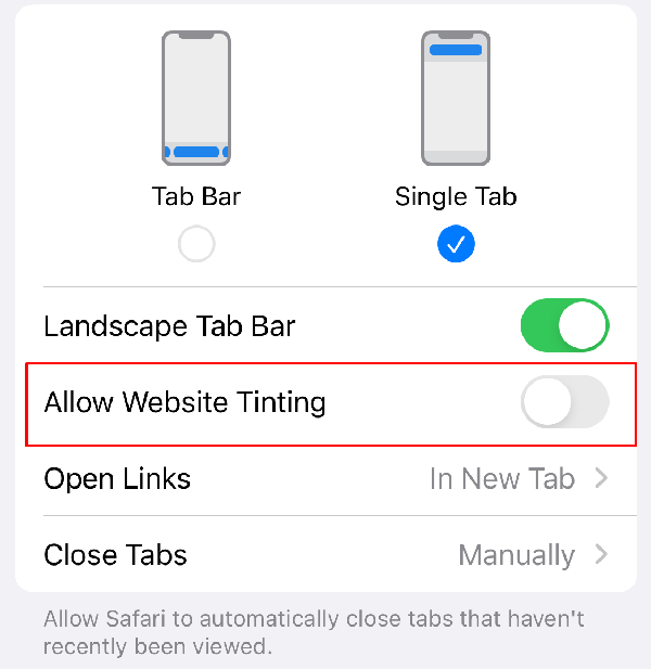 Allow_Website_Tinting_toggle_off_in_iPhone Allow_Website_Tinting_toggle_off_in_iPhone