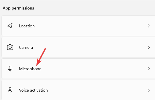 App-permissions-Microphone
