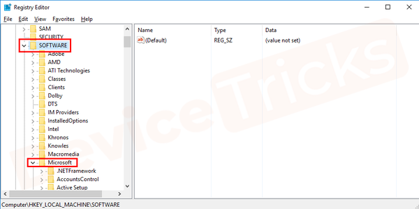 HKEY_LOCAL_MACHINE-SOFTWARE-Microsoft
