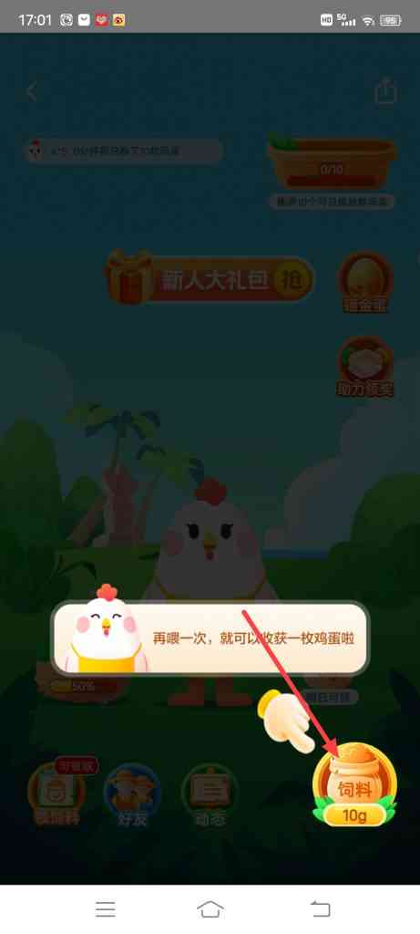 美团优选怎么给母鸡喂食