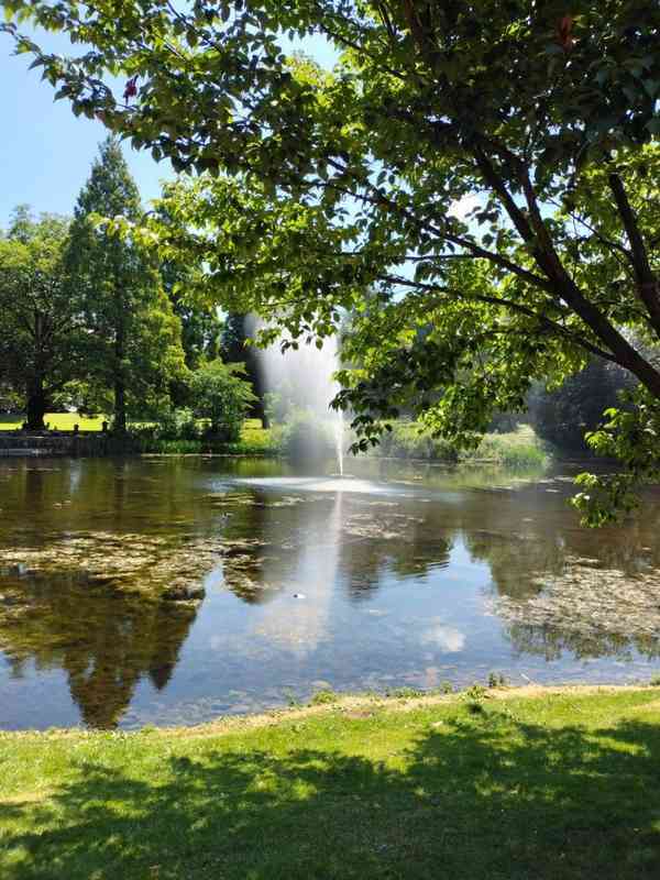 IMG_20220703_130400-scaled-1 IMG_20220703_130400-scaled-1