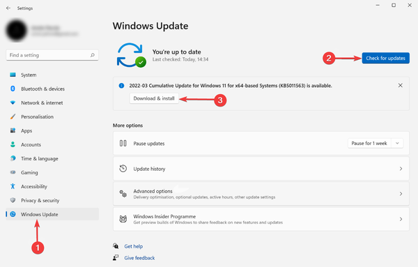 Installing-Windows-update