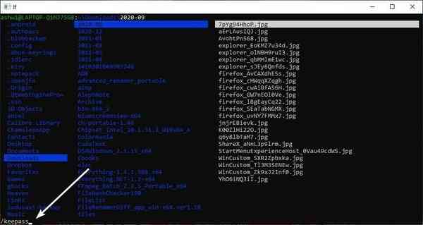 LF-search