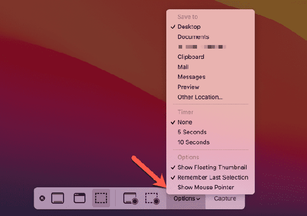 Mac-Screenshot-Bar-Options Mac-Screenshot-Bar-Options