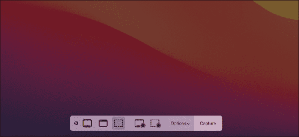 Mac-Screenshot-Options-Bar Mac-Screenshot-Options-Bar