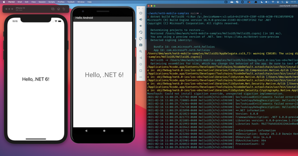 Microsoft-.Net-6-Preview-1