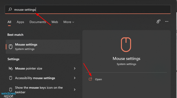 Mouse-settings-1 Mouse-settings-1