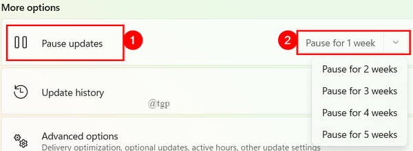 Pause-Updates-1