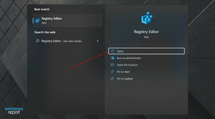 Registry-Editor