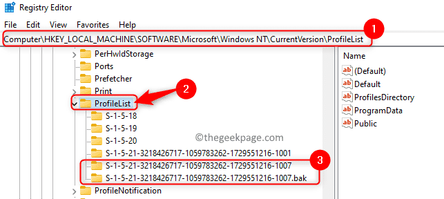 Registry-Profile-List-Duplicate-entries-min